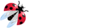 La coccinelle